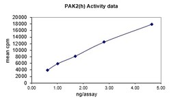 Eurofins DiscoverX PAK2 Protein, Active 10 &mu;g | Buy Online | Eurofins DiscoverX | Fisher Scientific